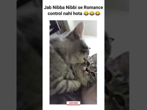 Nibba nibbi romance memes | 2022 viral video #shorts #kgf2 #bgmi #rrr #russia #russiaukrainewar