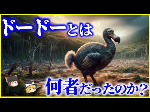 【ゆっくり解説】現代に復活…？「ドードー」とは何者だったのか？を解説/脱絶滅とは？絶滅した飛べない鳥は復活するのか