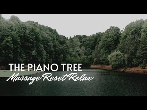 The Piano Tree