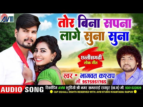 Bhagwat Kashyap | Cg Song | Tor Bina Sapna Lage Suna Suna | New Chhattisgarhi Gana 2024 | Avm Tadka