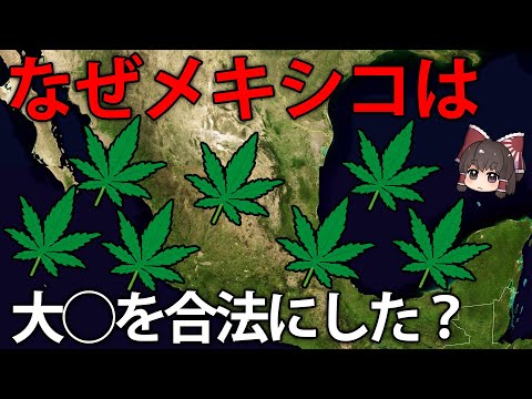 なぜメキシコは大◯を合法化してしまったのか？【ゆっくり解説】