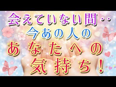 またまた鳥肌💦😲会えていない間今あの人の貴方への気持ち🌈💌🕊️片思い 両思い 複雑恋愛&障害のある恋愛など疎遠や音信不通等‥🌈🦄タロット&オラクル恋愛鑑定