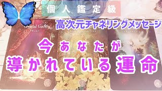 今あなたが導かれている運命👸高次元チャネリングメッセージ🌹個人鑑定級💙