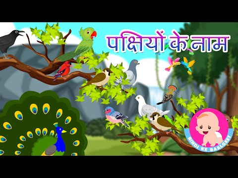 पक्षियों के नाम | Bird Names - Hindi Rhymes | Bindi ke Balgeet | बिंदी के बालगीत