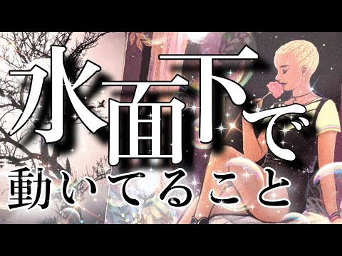 【水面下で動いてる事/今後の人生どうなりますか】ハッキリ出ました💥個人鑑定級🙏細密リーディングご了承下さい🧚CHIMA✨タロット占い＆オラクルカードリーディング🔮