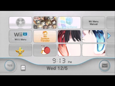 Wii Menu Electronic Manual reading% WR [24:26.67]