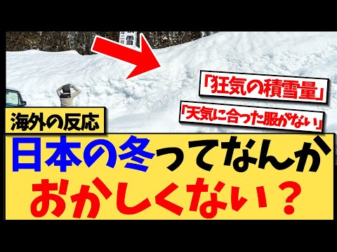 【海外の反応】想像以上の日本の冬の雪に衝撃を受ける海外の反応集