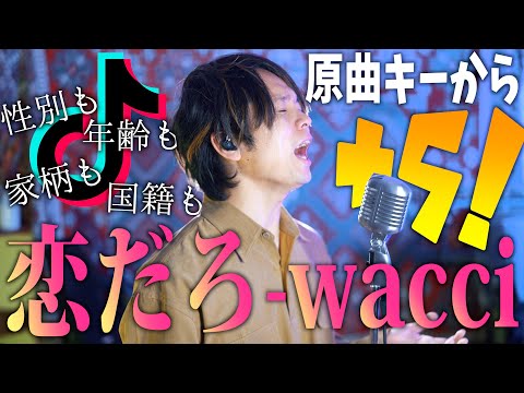 【原曲から＋5】wacciの"恋だろ"キーあげて熱唱したら気持ち良すぎたからカラオケに勧めたい！