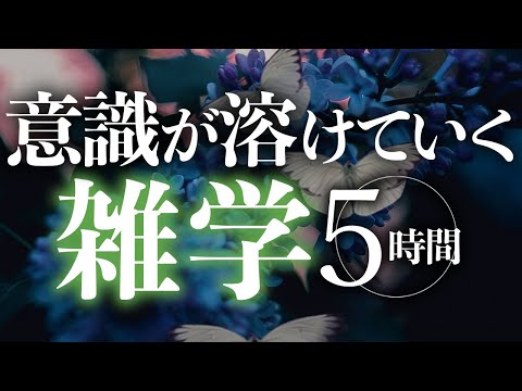 【睡眠導入】意識が溶けていく雑学5時間【合成音声】