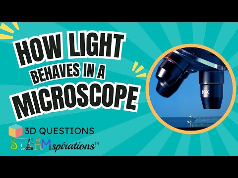 Refraction, Reflection, and Absorption of Light | 3-D Questions from STEAMspirations with Mr. Lara