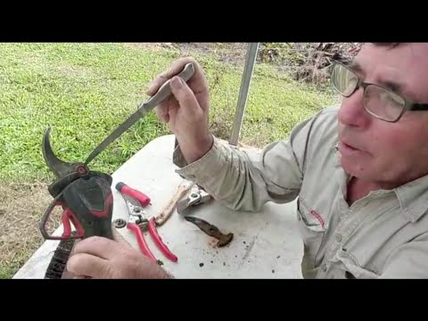 Pruner maintenance & using the moon for grafting success