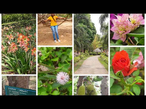 #garden don't miss the end 😃 #botanicalgarden #araku #paderu #botanicalgarden #gardening