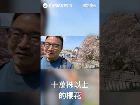 ［預告］北海道自駕該注意什麼？松前公園有十萬株櫻花！人生看過最多櫻花的一天！ #chriskevin #hokkaido #sakura #driving