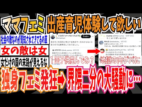 【ツイフェミ】ママフェミさん「男児に敵意向けてる奴は出産育児を体験してみてほしい」→ 独身フェミさん発狂、界隈を二分する大騒動に発展…【ゆっくり 時事ネタ ニュース】