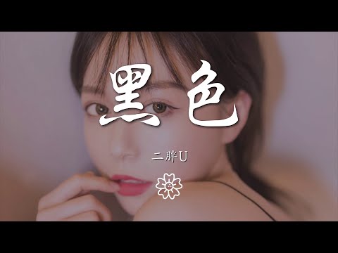 二胖u（王訫） - 黑色『那自命不凡的沉默』【動態歌詞Lyrics】