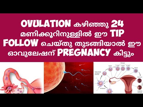 Powerful tip for Getting Pregnant Deechus world Malayalam