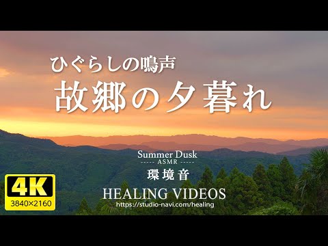 [Healing/ASMR] Dusk in my hometown/The sounds of cicadas