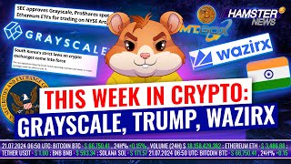 Grayscale ETF, South Korea Crypto Laws, Trump’s Plans ⚡️ Hamster News Weekly