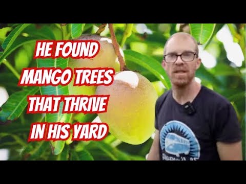 This Guy Figured Out What Tropical Fruit Trees Grow Best At His Yard