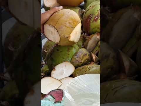 sariwang katas at laman ng buko pH street food #satisfying #streetfood #youtubeshorts @GatchieJr33