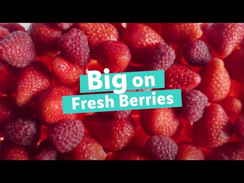 Big on Fresh Berries TV Advert | Lidl GB