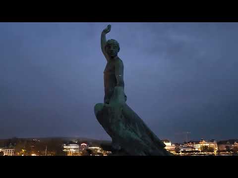 Lake Zurich.  Stunning view at Night. Switzerland 🇨🇭.