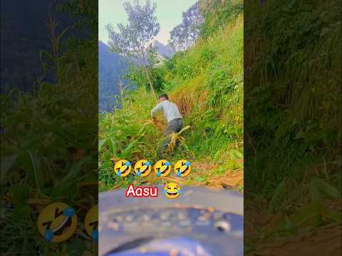 ASSU 🤣 trending funny memes 🤣 gojari funny memes 🤣 #trending #funny #trending #viralshort