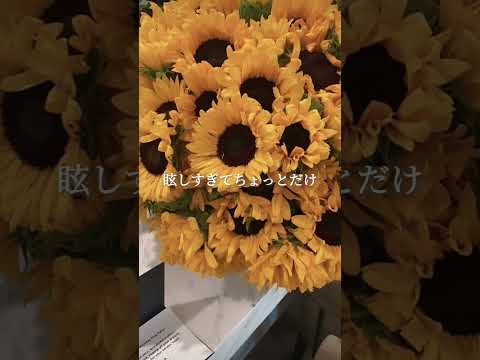 【歌詞】SEKAI NO OWARI/向日葵