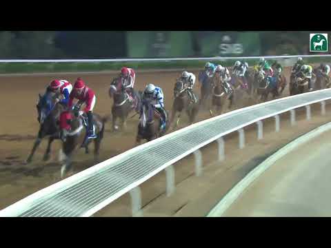 RIYADH RACING SEASON MEETING NO 53 RACE NO 6