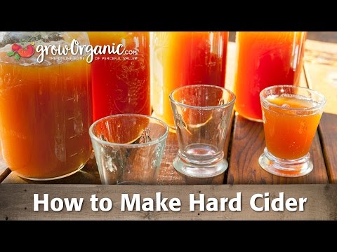 How to Make Your Own Organic Hard Cider