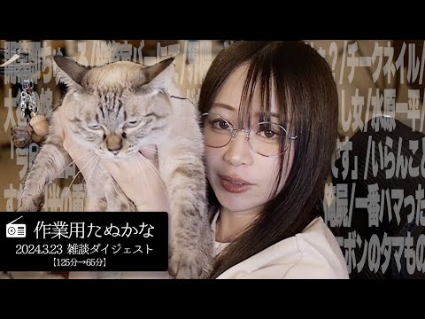 【作業用たぬかな】雑談ダイジェスト「エボンのタマもの」【2024/3/23】