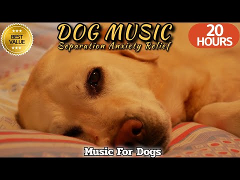 20 HOURS of Dog Calming Music🐶🎵Dog Separation Anxiety Music💖🦮Relaxation Music for Dogs⭐Healingmate