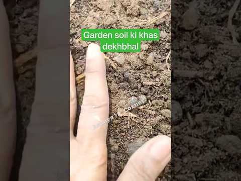 Gardening ki khas nuskhe #gardeningtips #gardening #tips #shorts #youtubeshorts #viralvideo #trendin