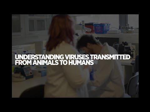 Understanding viruses transmitted from animals to humans | University of Helsinki