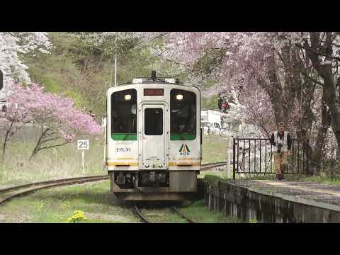 【映像】湯野上温泉駅の桜　福島・下郷町【カメラめせん④】