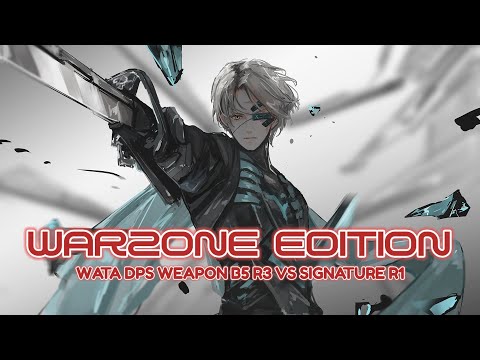 WATANABE WARZONE EDITION (SINGLE DPS TEST B5 VS SIGNATURE) || PUNISHING GRAY RAVEN