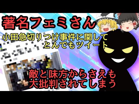 【悲報】著名ツイフェミさん、謎ツイートで敵味方からフルボッコにされる