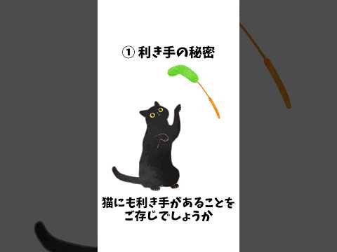 【1分雑学】猫の意外にゃ雑学3#shorts#猫