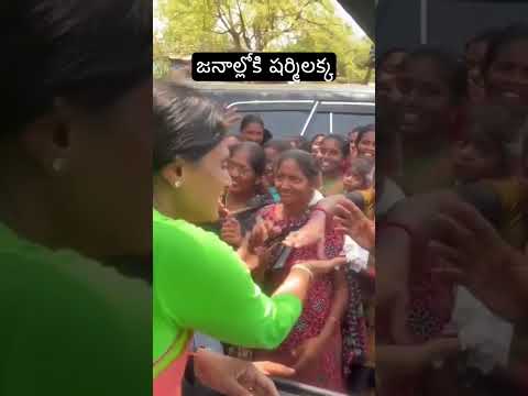 ప్రజల్లోకి వచ్చిన షర్మిల #shortsfeed #sharmila #news #viral