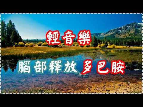 輕音樂 腦部釋放多巴胺 入眠、放鬆、舒緩、休息【1小時】 Relaxing Music, Soothing Music