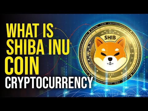 What is Shiba Inu Coin? SHIB EXPLAINED!!  🐕 #shorts