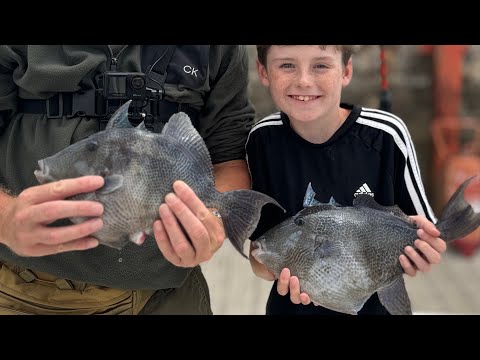 Fuerteventura fishing - How to get a licence and where to fish with kids