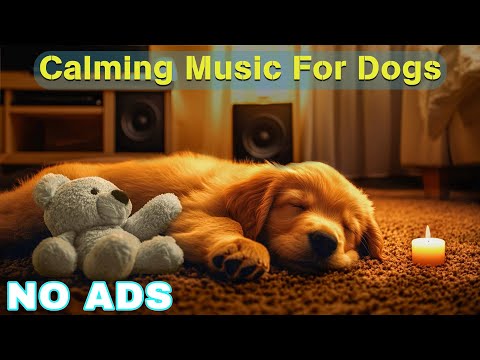 12 Hours of Dog Calming Music for Dogs 🎵 Dog Sleep Music 🐶 Separation Anxiety Relief Music ⭐No Ads