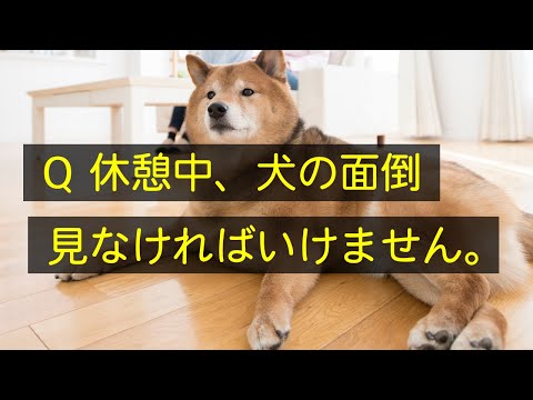 Q 休憩中に犬の面倒みないといけません。　#Shorts