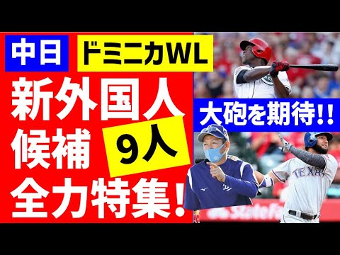 【新外国人】中日獲得候補9人全力特集！ドミニカWL【中日ドラゴンズ】スイング動画　助っ人補強情報ニュース　立浪監督視察