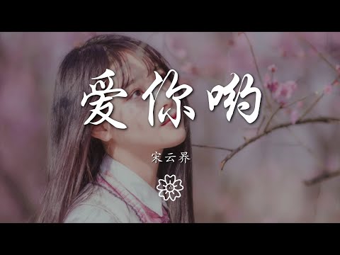 宋雲昦 - 愛你喲『你好像有一種魔力 看見你』【動態歌詞Lyrics】