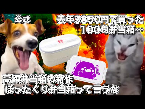 ラブライブの新作ぼったくり弁当箱【猫ミーム】 #猫マニ #猫ミーム