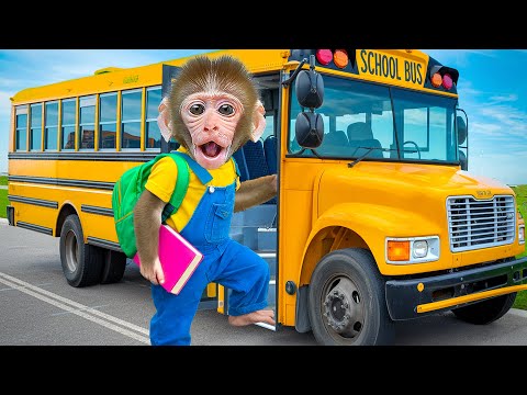 KiKi Monkey drives Magical School Bus and Survives Every FIRST DAY OF SCHOOL | KUDO ANIMAL KIKI