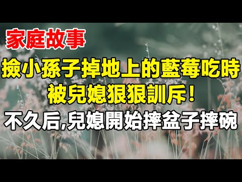 撿小孫子掉地上的藍莓吃時，被兒媳狠狠訓斥！不久后，兒媳開始摔盆子摔碗 #生活故事 #中老年生活 #家庭故事 #老年故事 #農村故事