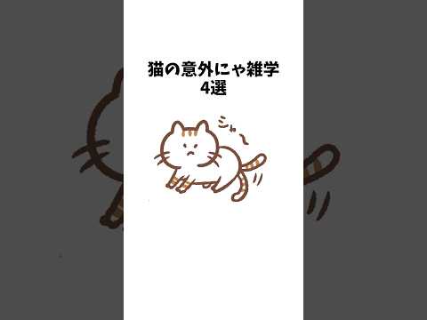 【1分雑学】猫の意外にゃ雑学#shorts#猫